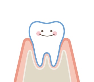健康な歯と歯ぐき